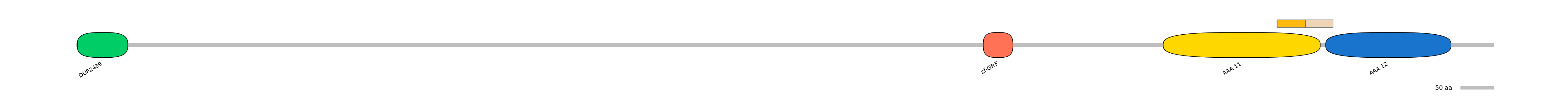 HsaINT0024061-EXC