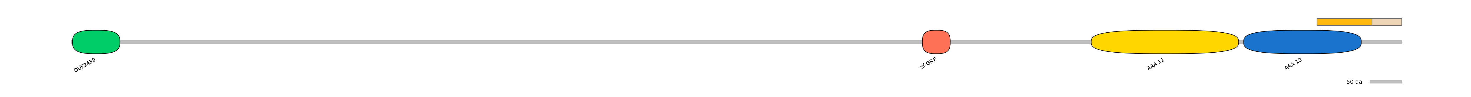 HsaINT0024065-EXC