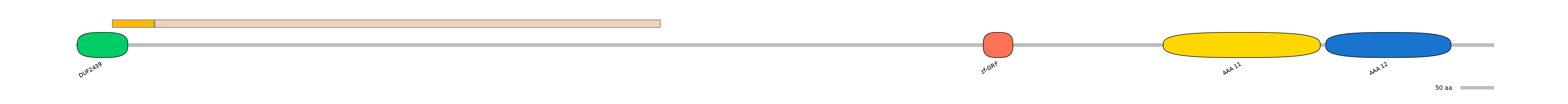 HsaINT0024068-EXC