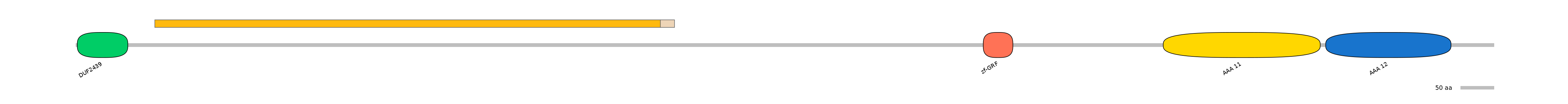 HsaINT0024069-EXC