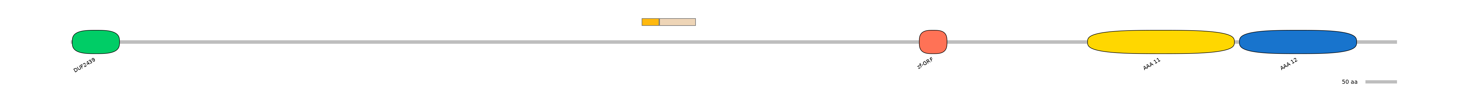 HsaINT0024072-EXC