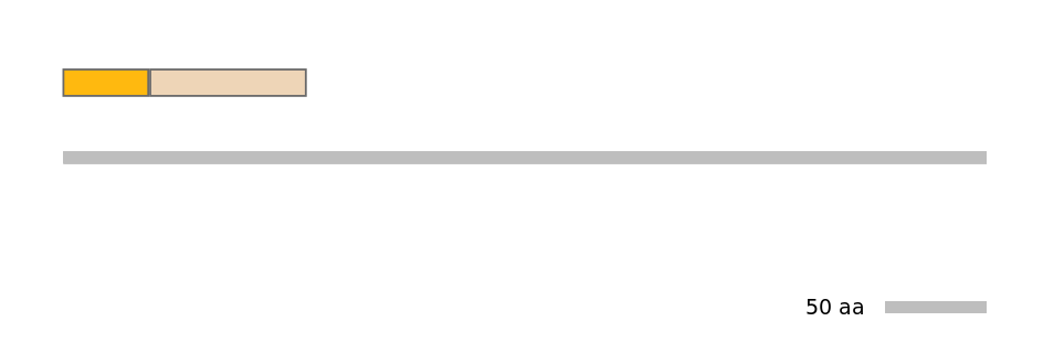 HsaINT0024263-EXC
