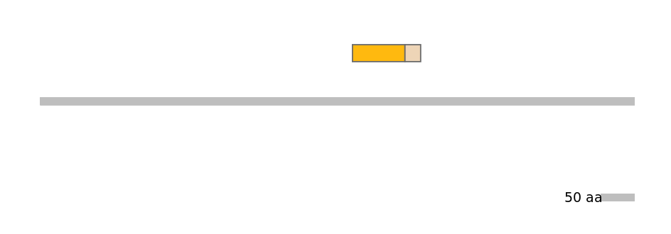 HsaINT0024264-EXC