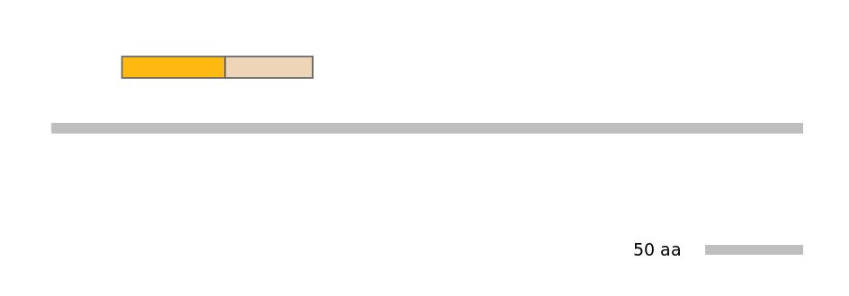 HsaINT0025391-EXC