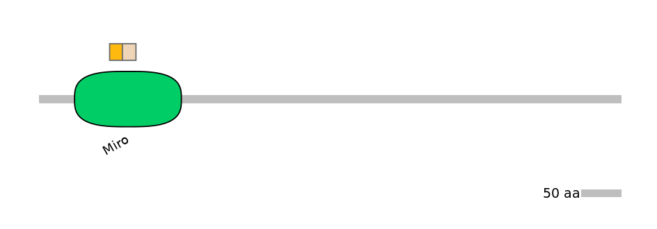 HsaINT0025586-EXC