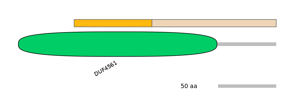 HsaINT0025605-EXC