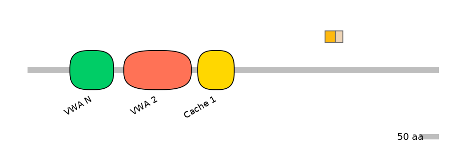 HsaINT0026486-EXC
