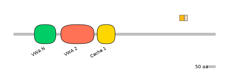 HsaINT0026492-EXC