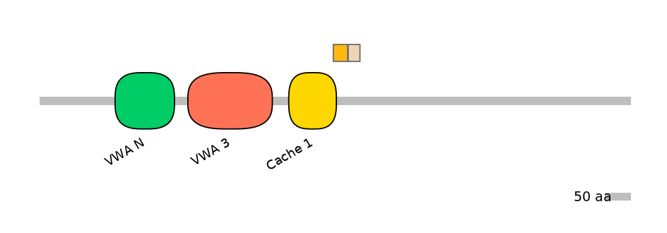 HsaINT0026512-EXC