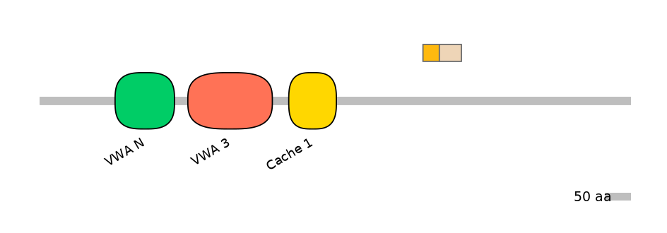 HsaINT0026520-EXC