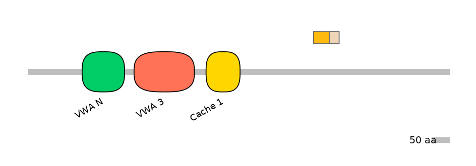 HsaINT0026521-EXC