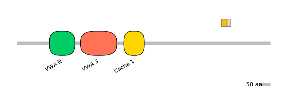 HsaINT0026528-EXC