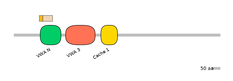 HsaINT0026535-EXC