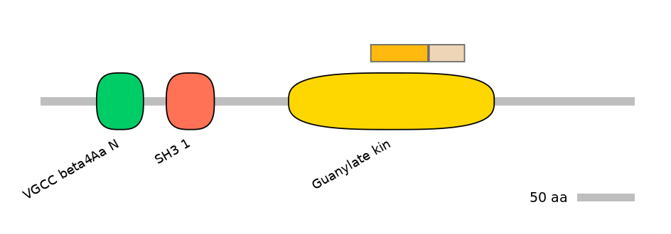 HsaINT0026589-EXC