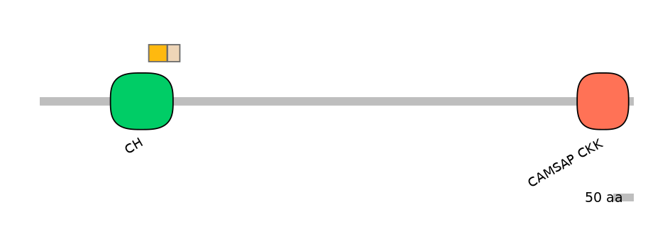 HsaINT0027186-EXC