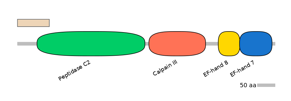 HsaINT0027317-INC