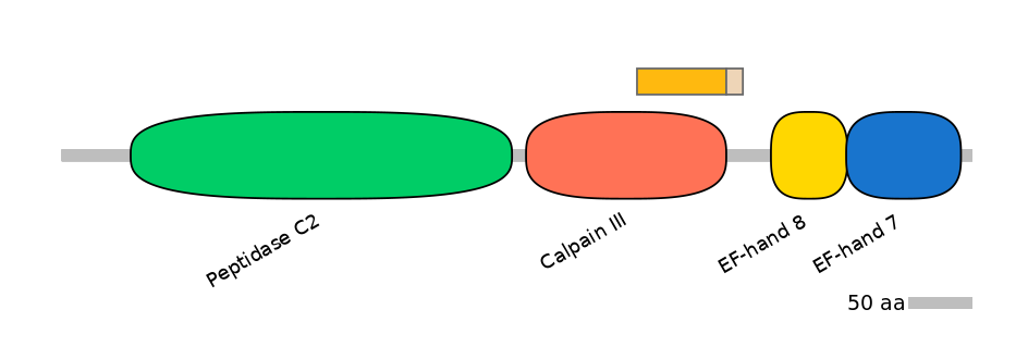 HsaINT0027321-EXC