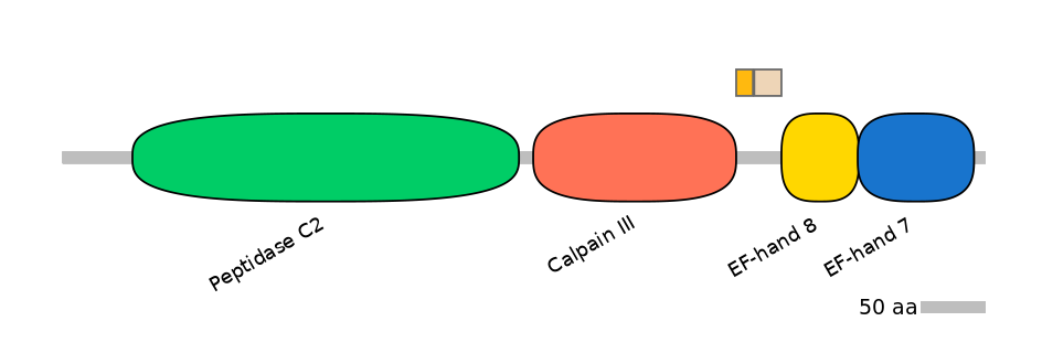 HsaINT0027322-EXC