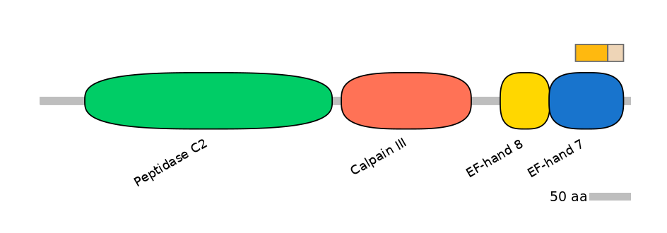 HsaINT0027329-EXC