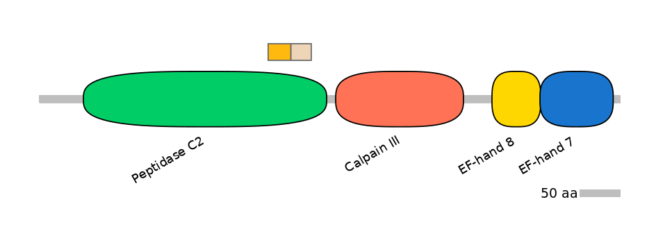 HsaINT0027336-EXC