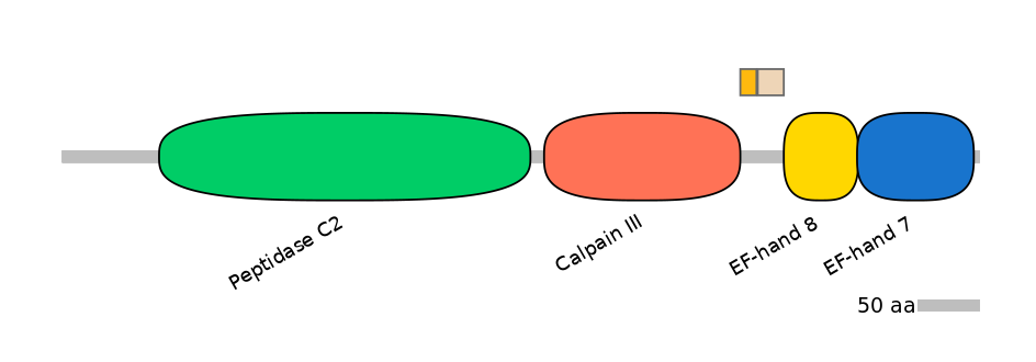 HsaINT0027356-EXC
