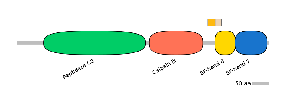 HsaINT0027357-EXC