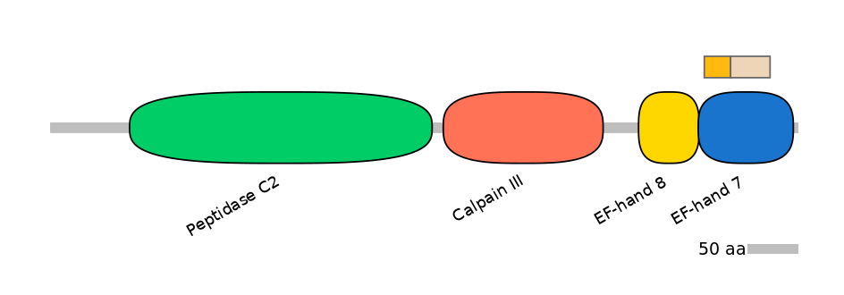 HsaINT0027362-EXC