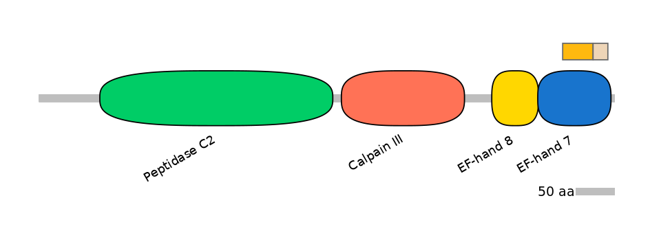 HsaINT0027363-EXC