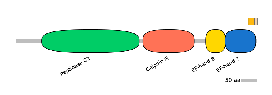 HsaINT0027364-EXC