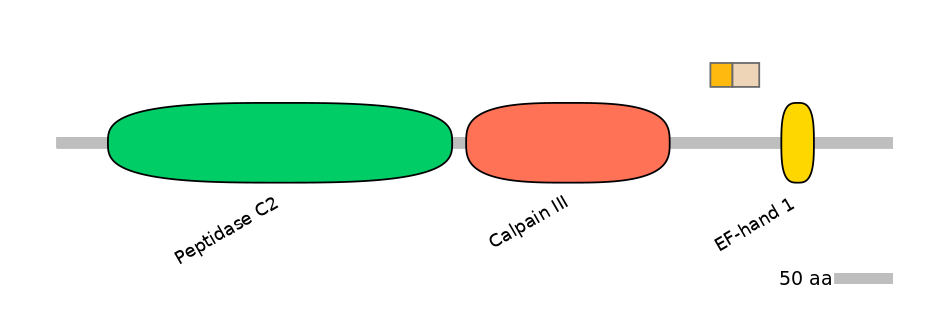 HsaINT0027378-EXC
