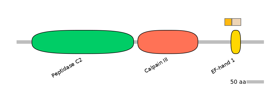 HsaINT0027380-EXC