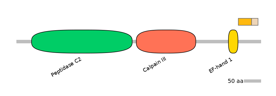 HsaINT0027382-EXC