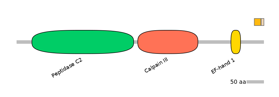 HsaINT0027384-EXC