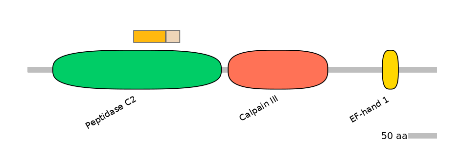 HsaINT0027387-EXC