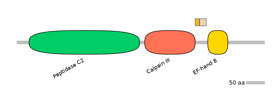 HsaINT0027397-EXC