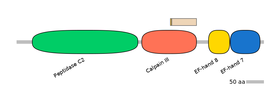 HsaINT0027437-EXC