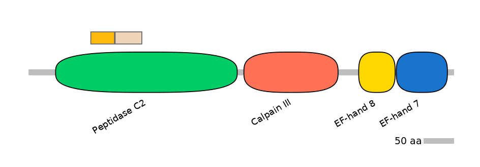 HsaINT0027448-EXC