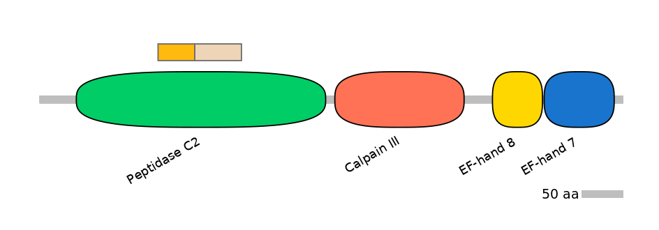 HsaINT0027449-EXC