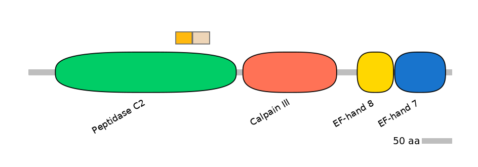 HsaINT0027451-EXC