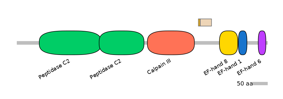 HsaINT0027457-EXC