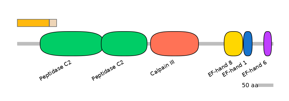 HsaINT0027458-EXC