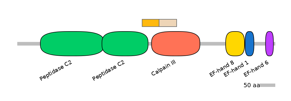 HsaINT0027459-EXC