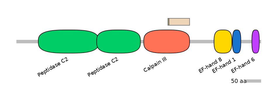 HsaINT0027461-EXC