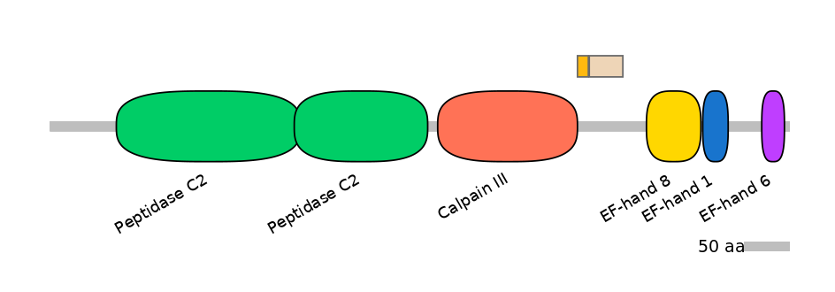HsaINT0027463-EXC