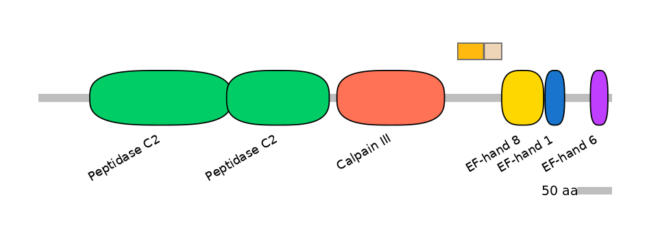 HsaINT0027464-EXC