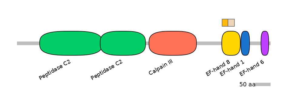 HsaINT0027466-EXC