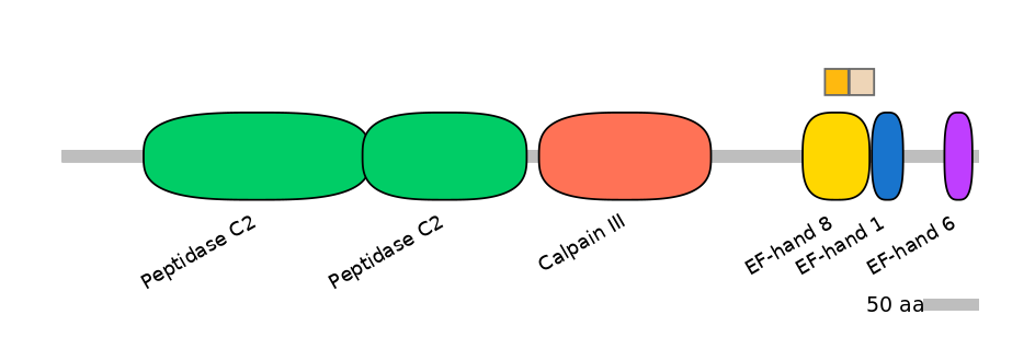 HsaINT0027467-EXC
