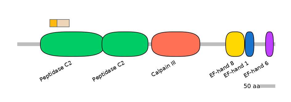 HsaINT0027469-EXC