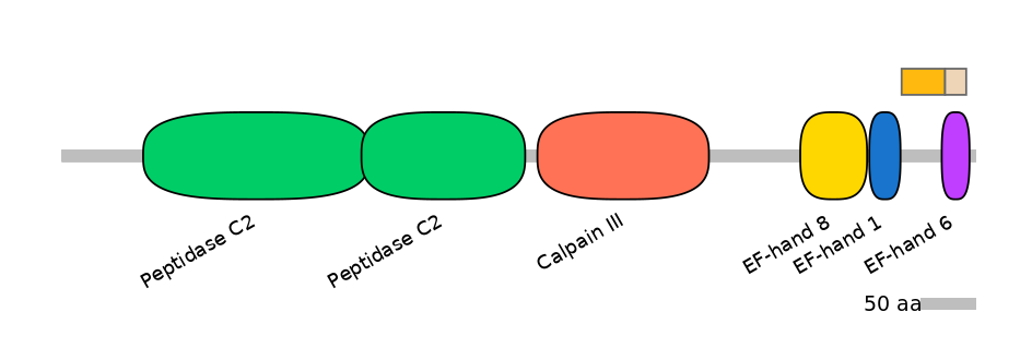 HsaINT0027471-EXC