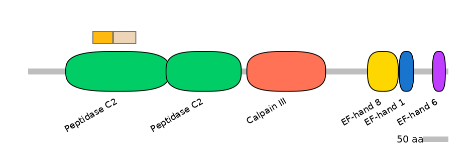 HsaINT0027473-EXC